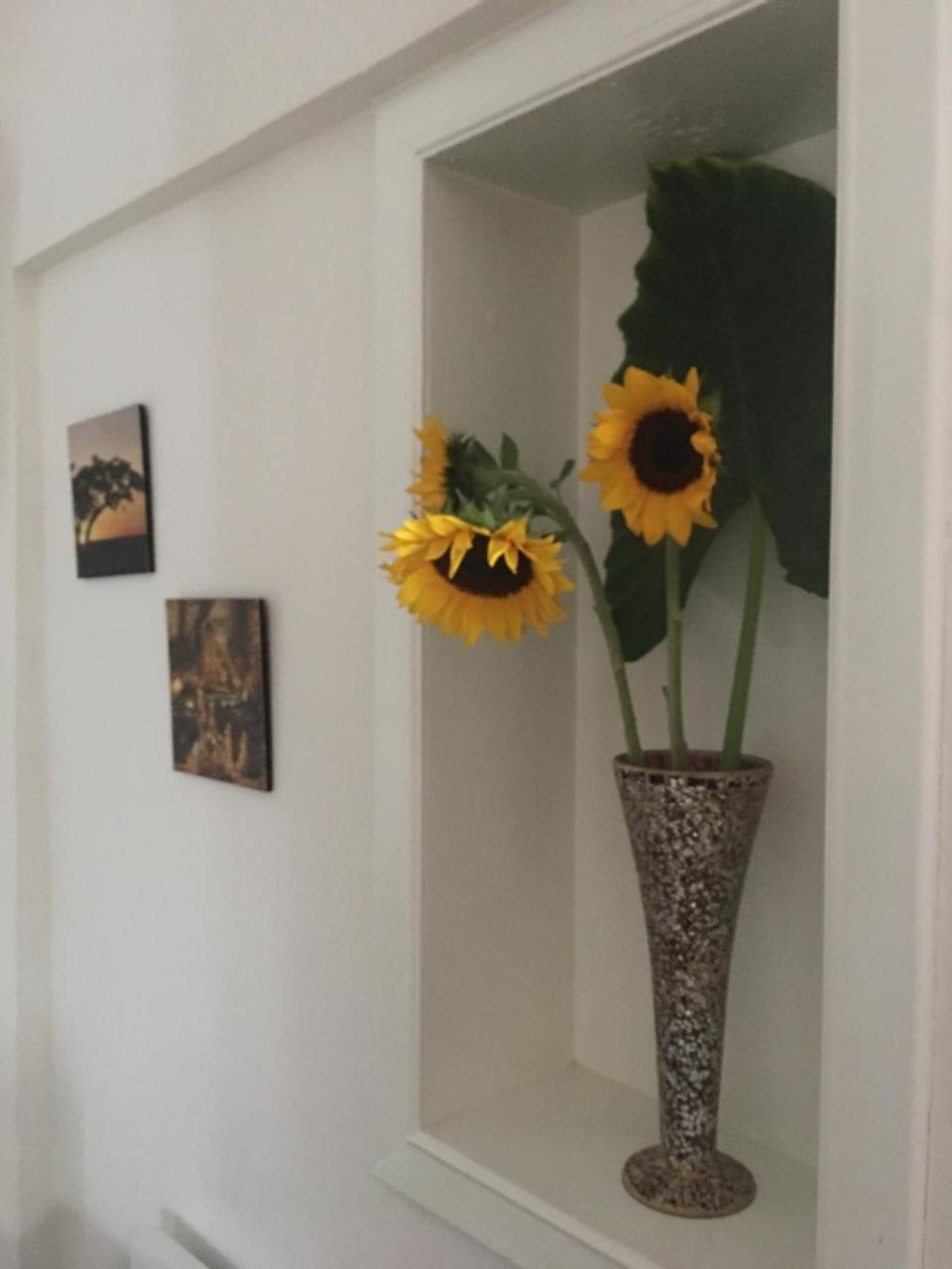 Hotel Boutique Simona La Romana Zewnętrze zdjęcie